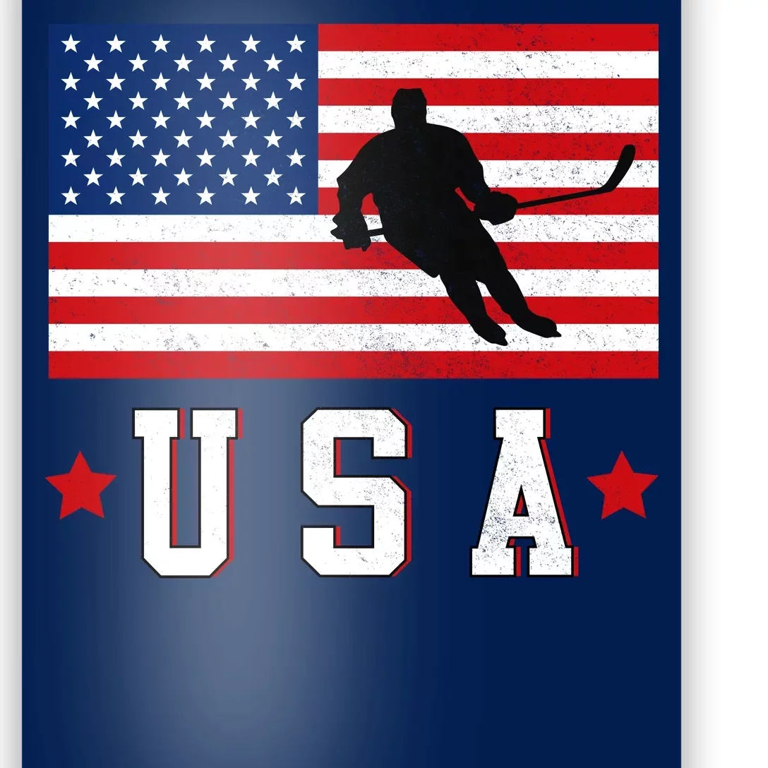 USA Hockey Winter Sports Games Poster