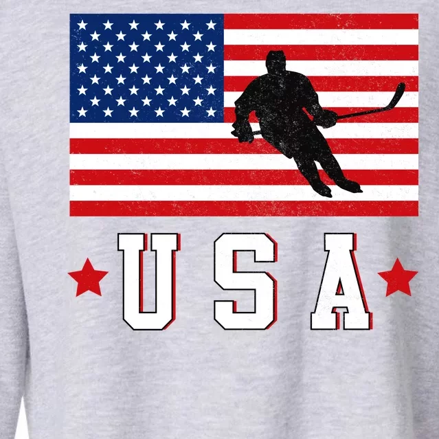 USA Hockey Winter Sports Games Cropped Pullover Crew