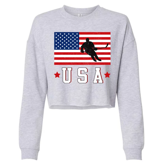 USA Hockey Winter Sports Games Cropped Pullover Crew