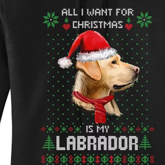 Ugly Sweater All I Want For Christmas Is My Labrador Xmas Sweatshirt Women's Pullover Hoodie