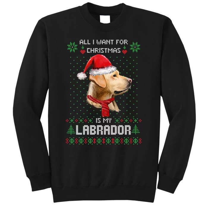 Ugly Sweater All I Want For Christmas Is My Labrador Xmas Sweatshirt Tall Sweatshirt