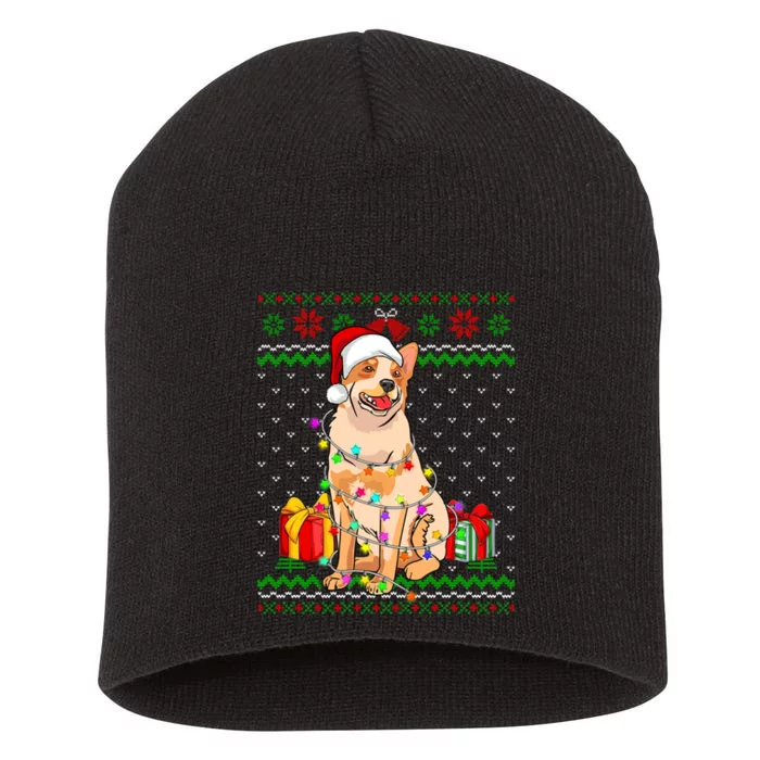 Ugly Sweater Christmas Lights Australian Cattle Dog Lover Short Acrylic Beanie