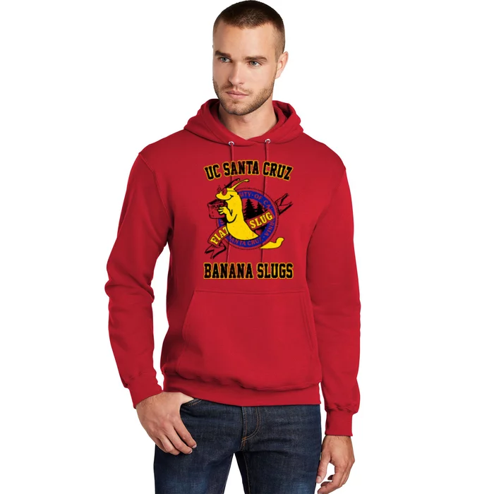 Uc Santa Cruz Hoodie