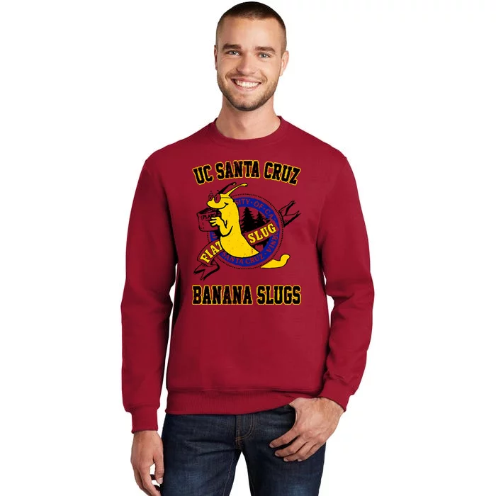 Uc Santa Cruz Sweatshirt