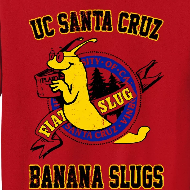 Uc Santa Cruz Sweatshirt