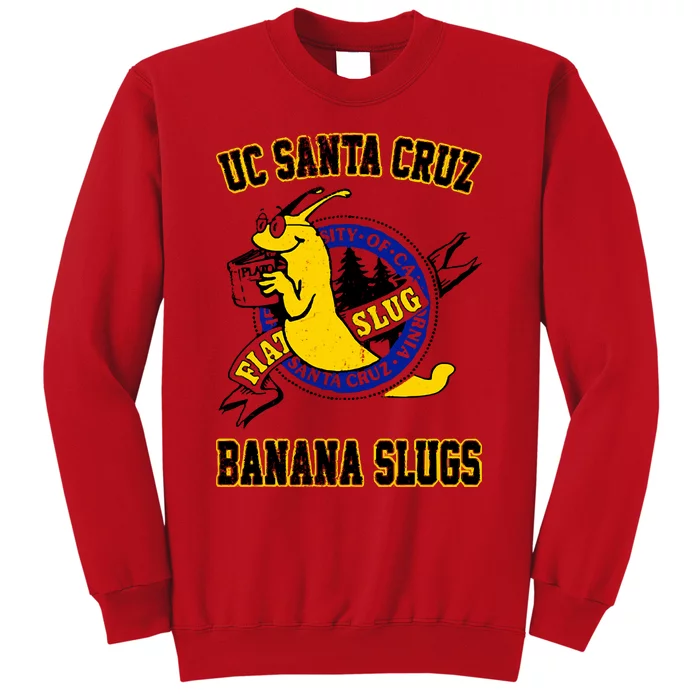 Uc Santa Cruz Sweatshirt