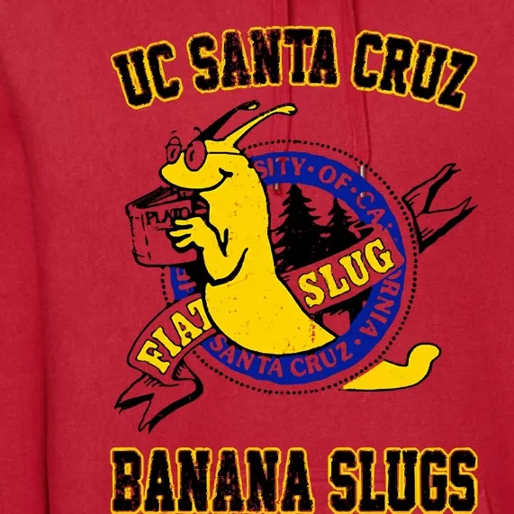 Uc Santa Cruz Premium Hoodie