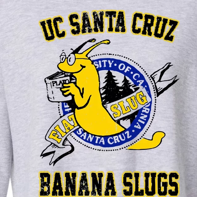 Uc Santa Cruz Cropped Pullover Crew