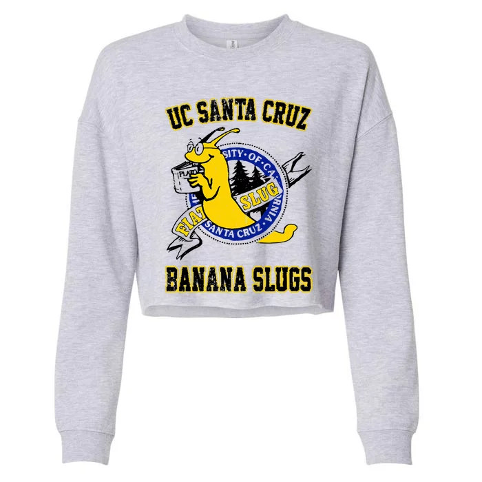 Uc Santa Cruz Cropped Pullover Crew