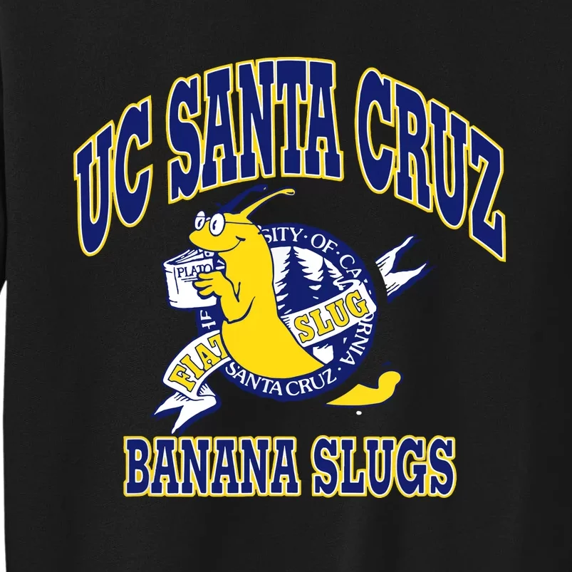 Uc Santa Cruz Ucsc Sweatshirt