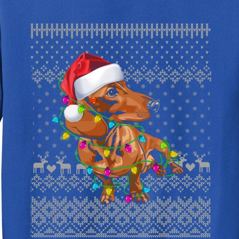 Ugly Sweater Christmas Lights Dachshund Dog Puppy Lover Gift Tall Sweatshirt