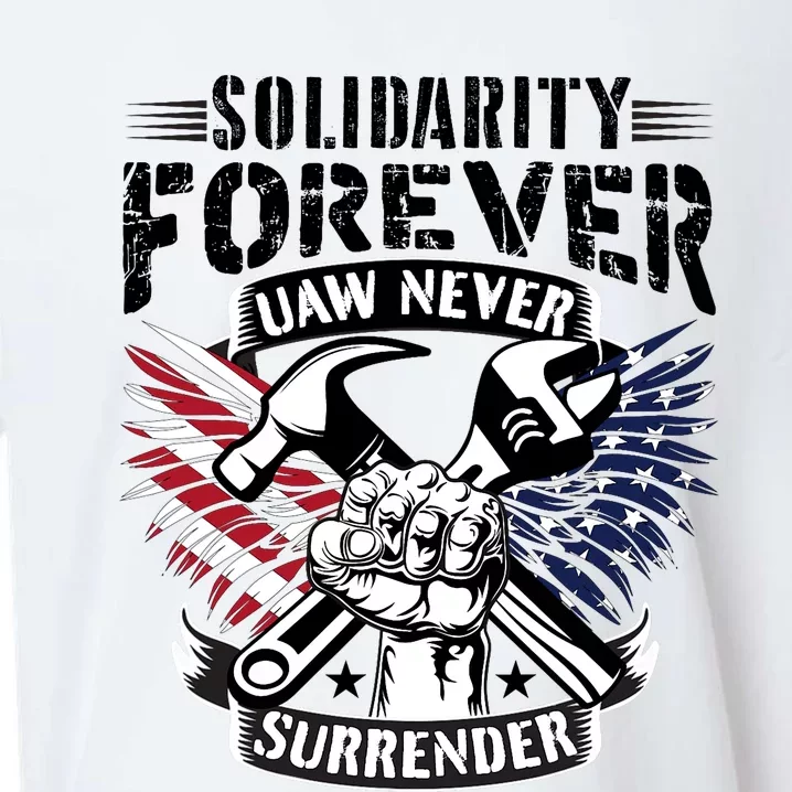 USA Solidarity Forever UAW Never Surrender UAW Union Strong Sueded Cloud Jersey T-Shirt