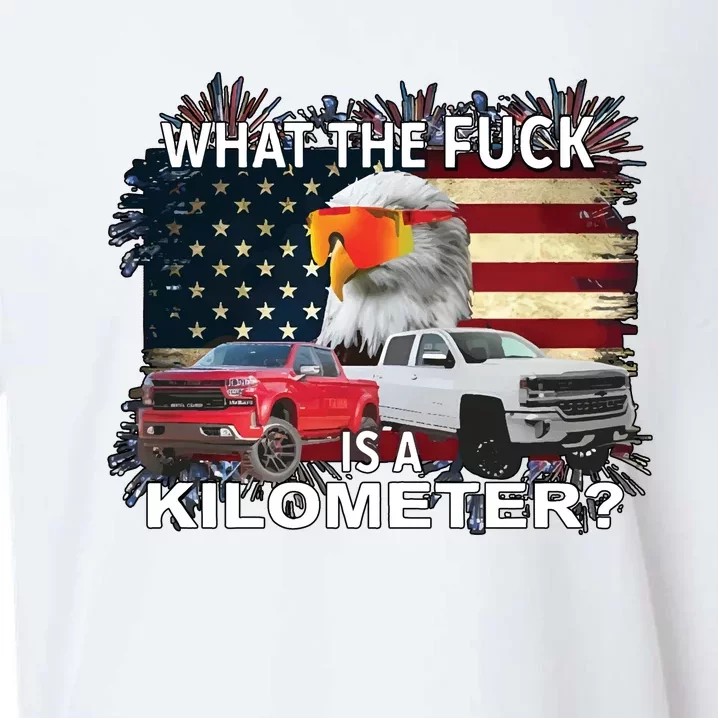 United States Wtf Is A Kilometer Eagle Sueded Cloud Jersey T-Shirt