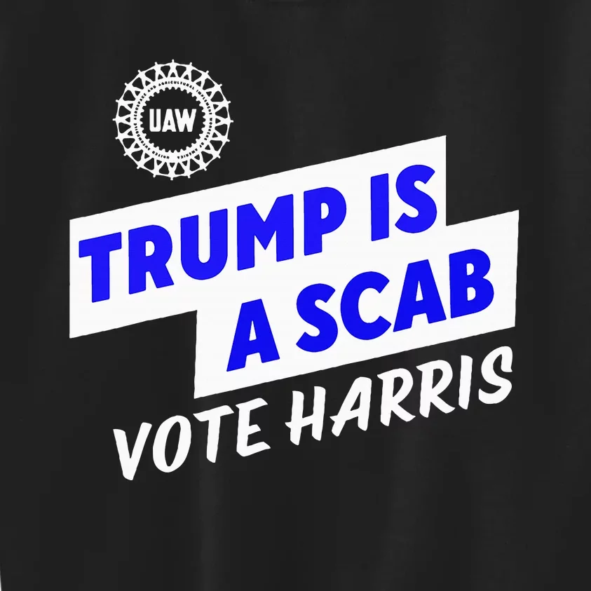 Uaw Trump Is A Scab Vote Harris Walz Kids Sweatshirt