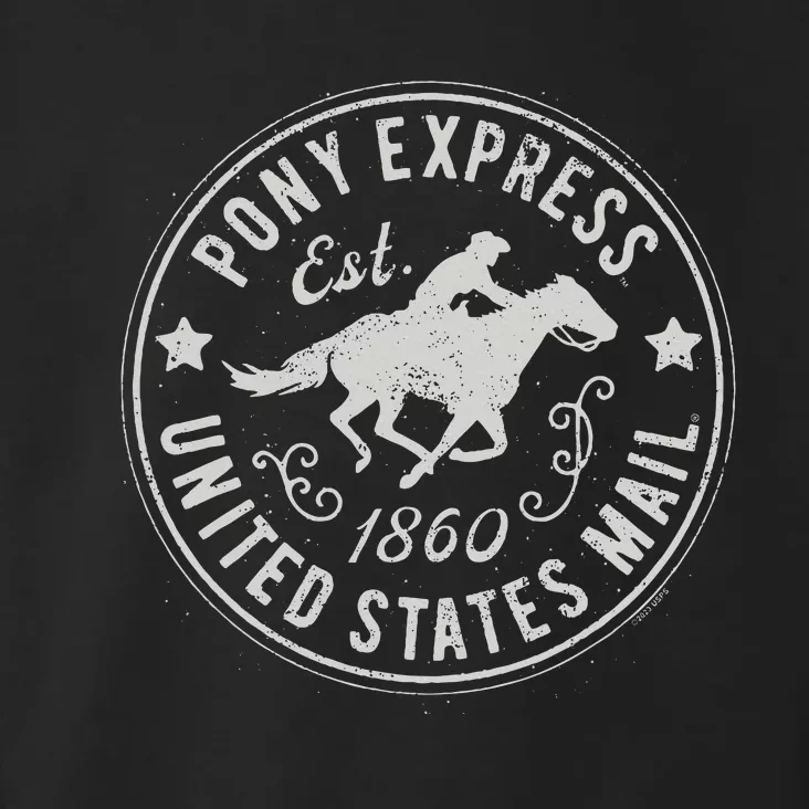 Usps Usps Pony Express Toddler Hoodie