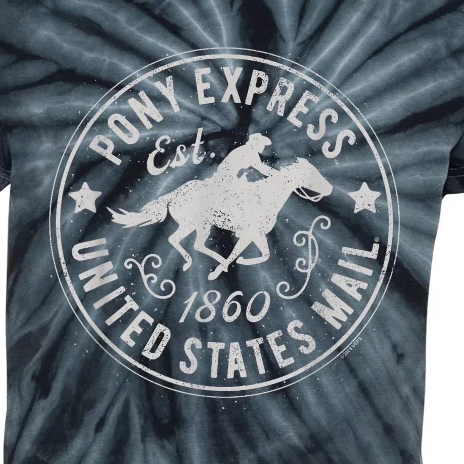 Usps Usps Pony Express Gift Kids Tie-Dye T-Shirt