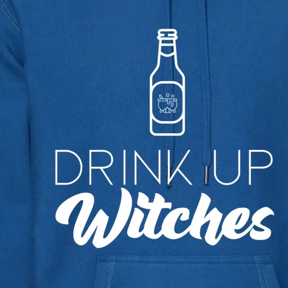 Up Witches Cauldron Brew Gift Premium Hoodie