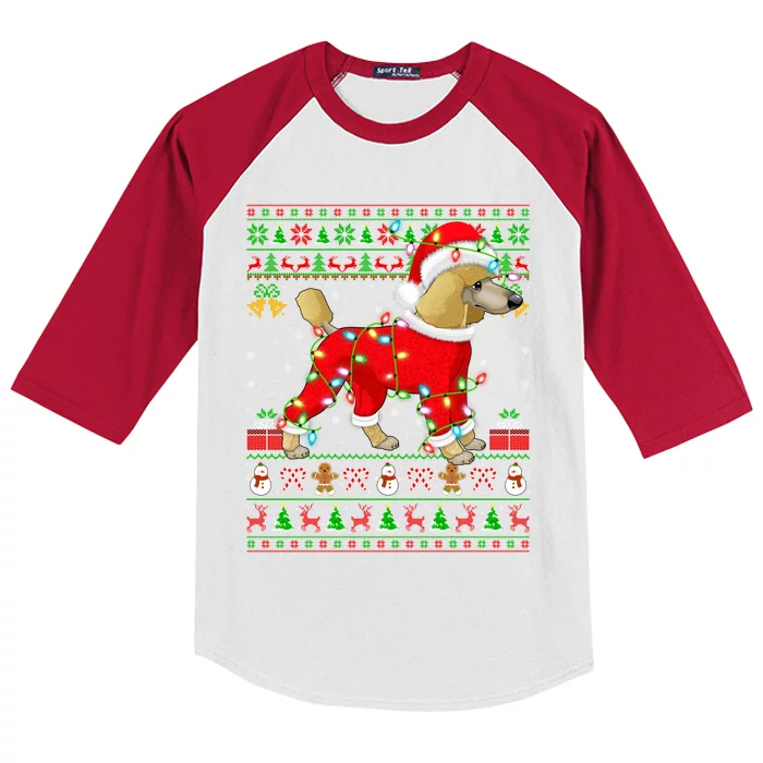 Ugly Xmas Lights Santa Poodle Dog Christmas Gift Kids Colorblock Raglan Jersey