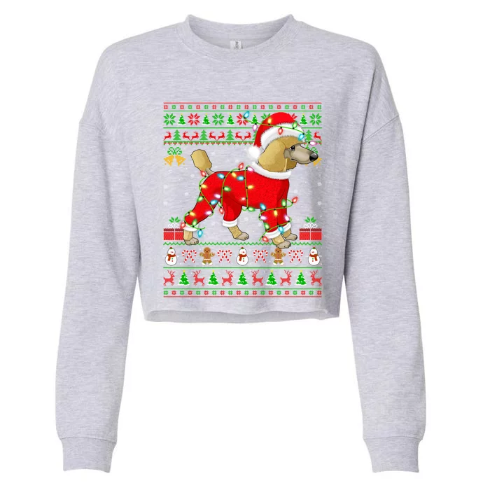 Ugly Xmas Lights Santa Poodle Dog Christmas Gift Cropped Pullover Crew