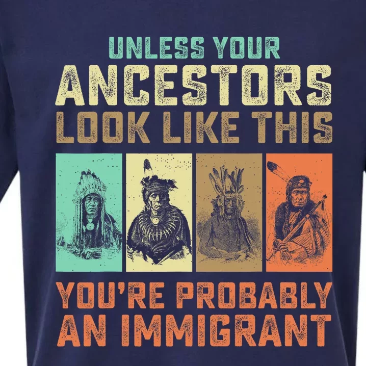 Unless Your Ancestors American YouRe Probably An Immigrant Sueded Cloud Jersey T-Shirt