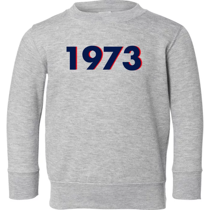 Vintage 1973 Toddler Sweatshirt