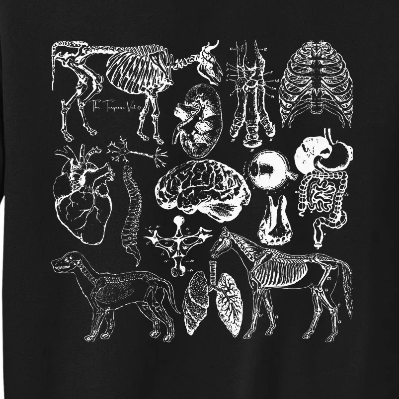 Veterinary Anatomy Animal Design Tall Sweatshirt