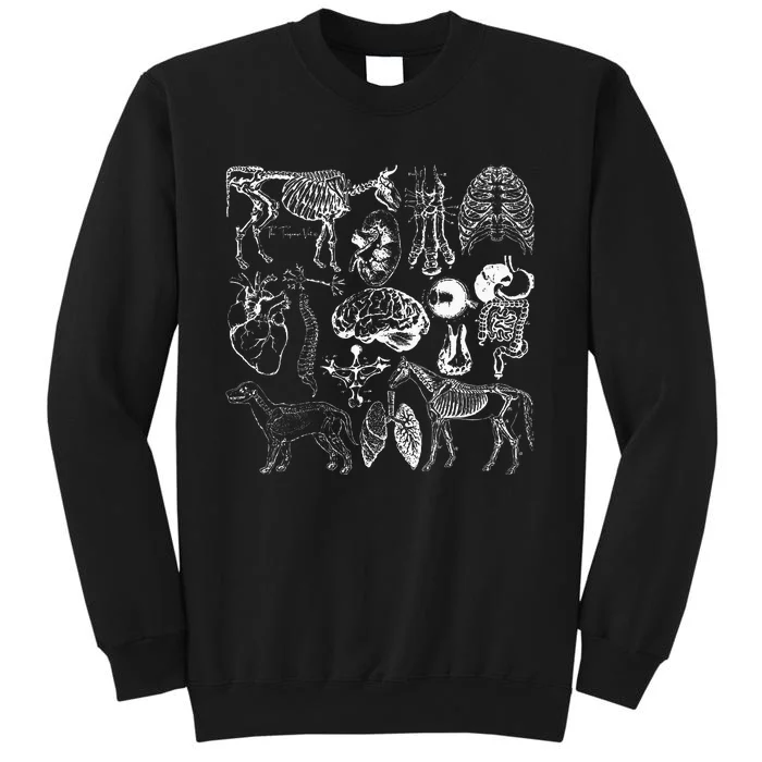 Veterinary Anatomy Animal Design Tall Sweatshirt