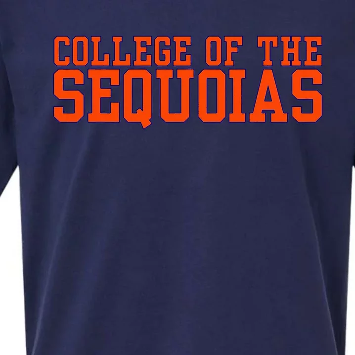 Vintage Arch College Of The Sequoias Sueded Cloud Jersey T-Shirt