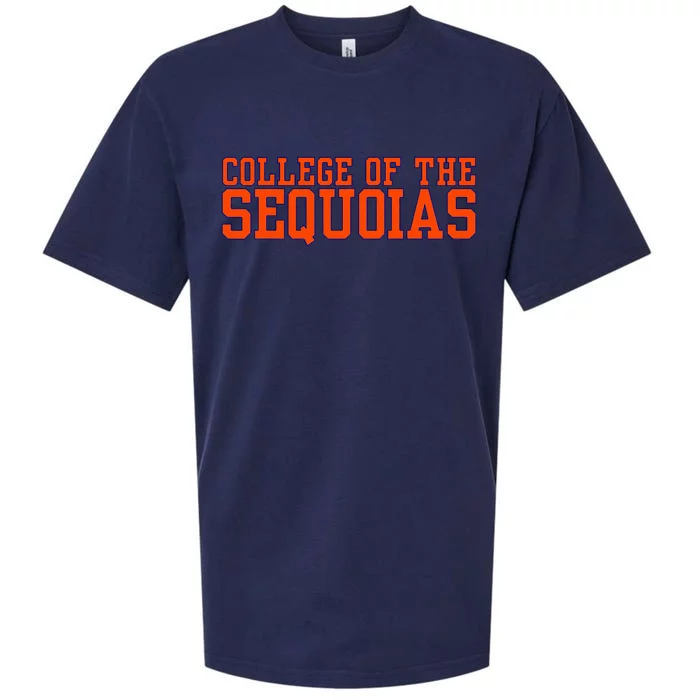 Vintage Arch College Of The Sequoias Sueded Cloud Jersey T-Shirt