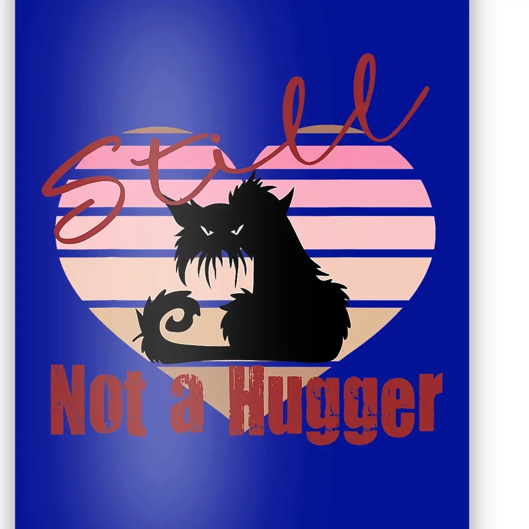 Valentine Angry Cat Still Not A Hugger No Hugs Please Poster