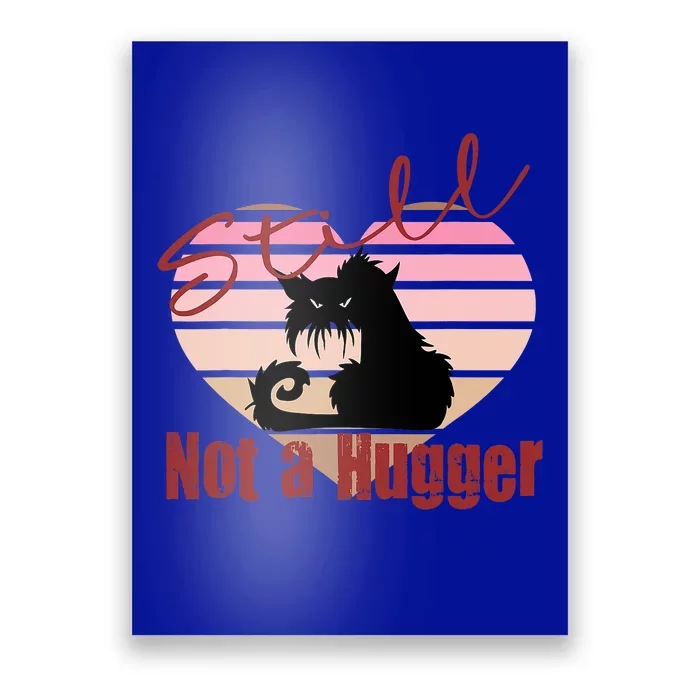 Valentine Angry Cat Still Not A Hugger No Hugs Please Poster