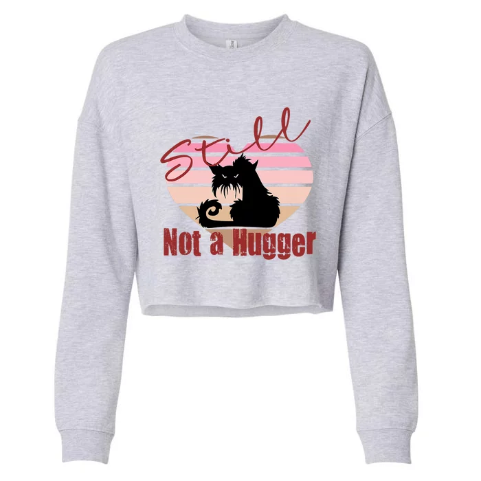 Valentine Angry Cat Still Not A Hugger No Hugs Please Cropped Pullover Crew