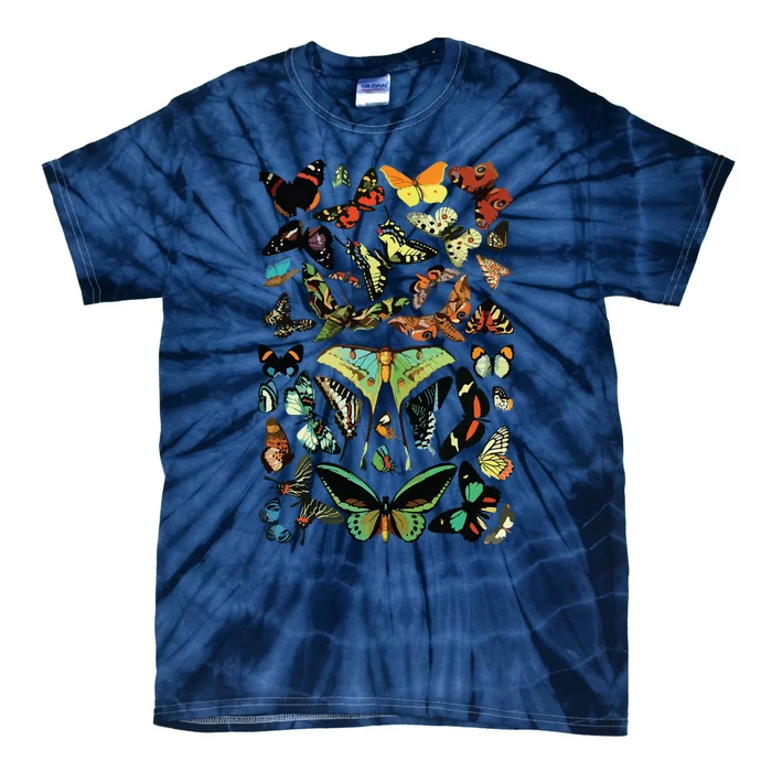 Vintage Butterflies Butterfly Collection Scientific Tie-Dye T-Shirt