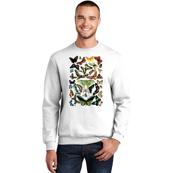 Vintage Butterflies Butterfly Collection Scientific Sweatshirt