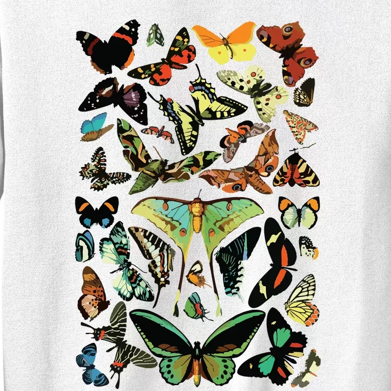 Vintage Butterflies Butterfly Collection Scientific Sweatshirt