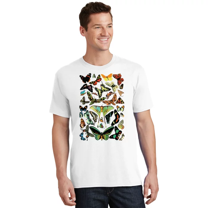 Vintage Butterflies Butterfly Collection Scientific T-Shirt