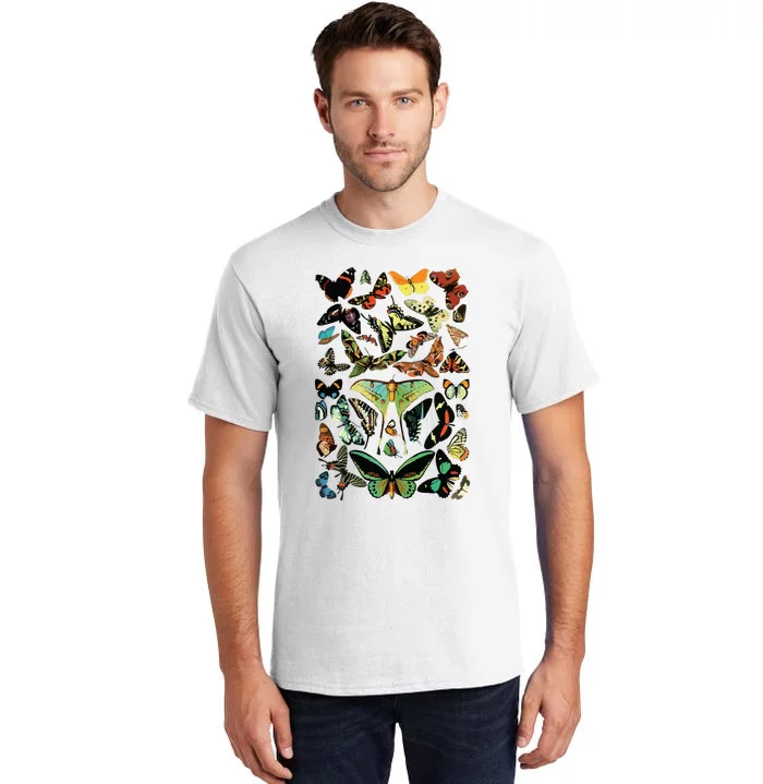 Vintage Butterflies Butterfly Collection Scientific Tall T-Shirt