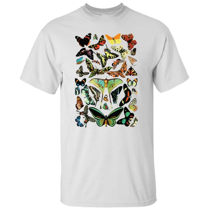 Vintage Butterflies Butterfly Collection Scientific Tall T-Shirt