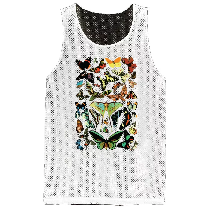 Vintage Butterflies Butterfly Collection Scientific Mesh Reversible Basketball Jersey Tank