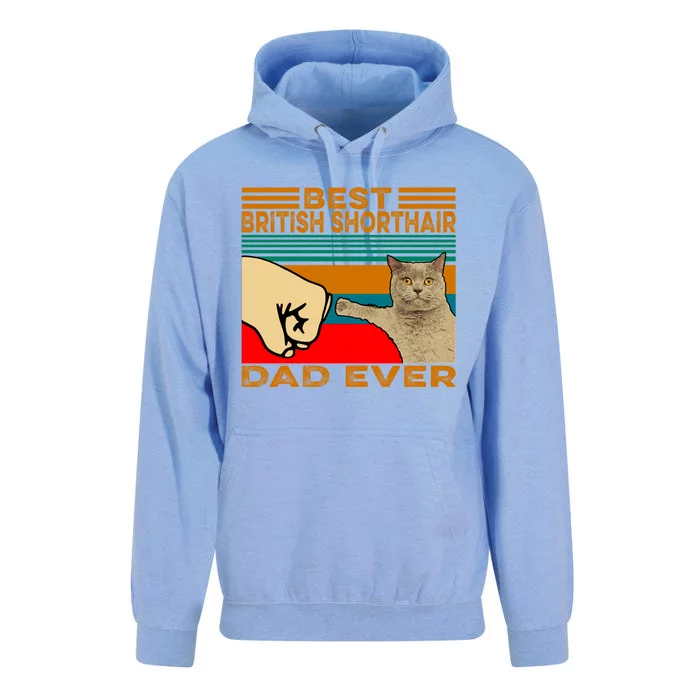 Vintage Best British Shorthair Cat Dad Ever Cool Gift Unisex Surf Hoodie