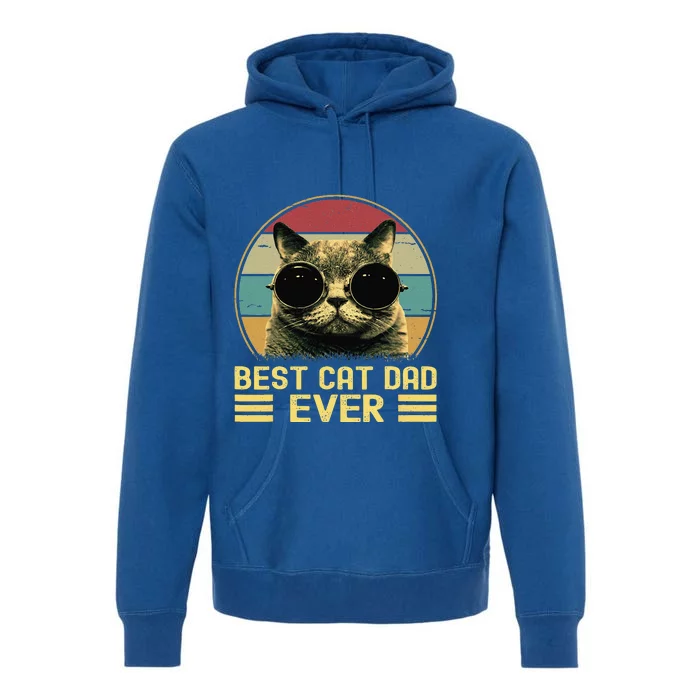 Vintage Best Cat Dad Ever Funny Cat Daddy Father Day Premium Hoodie