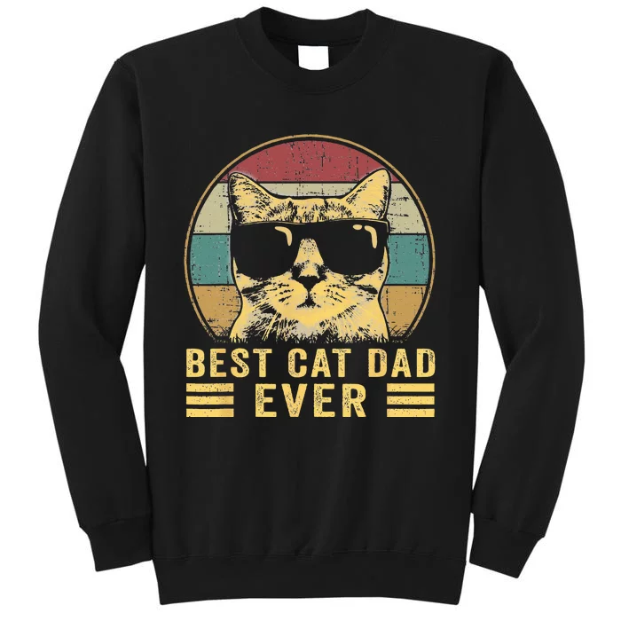 Vintage Best Cat Dad Ever Bump Fi Funny Fathers Day Tall Sweatshirt