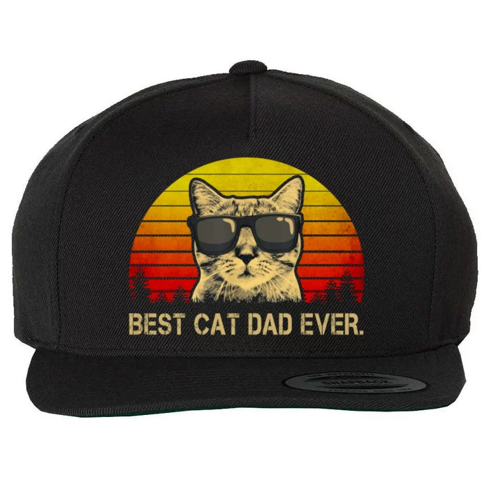 Vintage Best Cat Dad Ever Cat Daddy Father Wool Snapback Cap