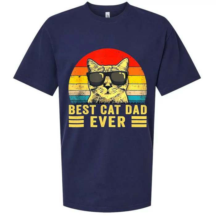 Vintage Best Cat Dad Ever Funny Best Cat Dad Ever Great Gift Sueded Cloud Jersey T-Shirt