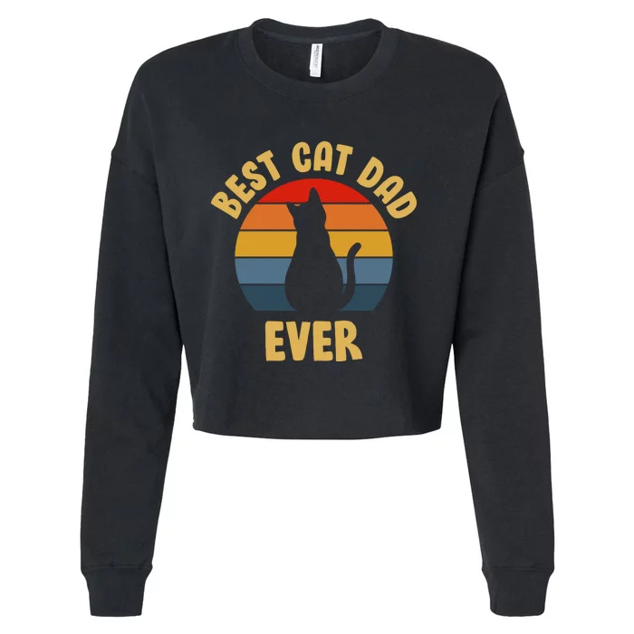 Vintage Best Cat Dad Ever Cropped Pullover Crew