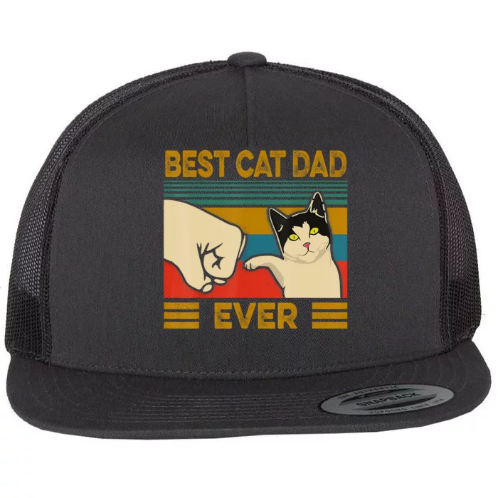 Vintage Best Cat Dad Ever Fist Bump Fathers Day Flat Bill Trucker Hat