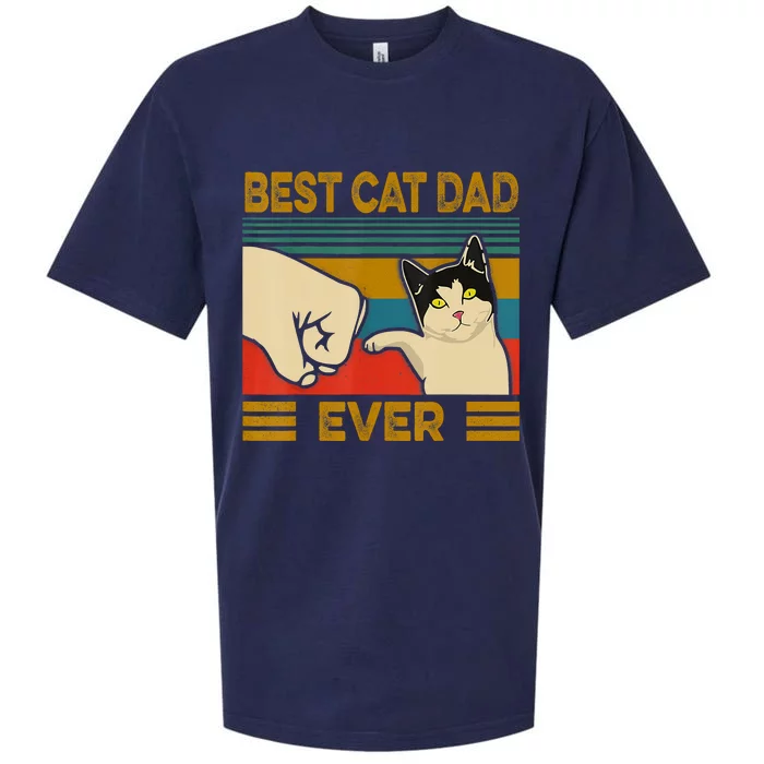 Vintage Best Cat Dad Ever Fist Bump Fathers Day Sueded Cloud Jersey T-Shirt