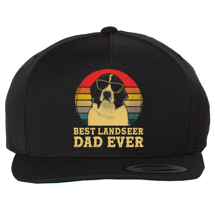 Vintage Best Landseer Dad Ever Dog Lovers Gift Wool Snapback Cap