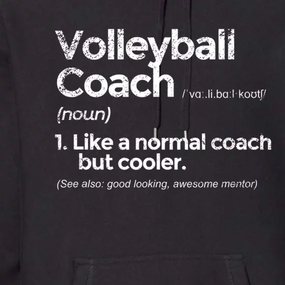 Volleyball Coach Definition Funny Gift Premium Hoodie