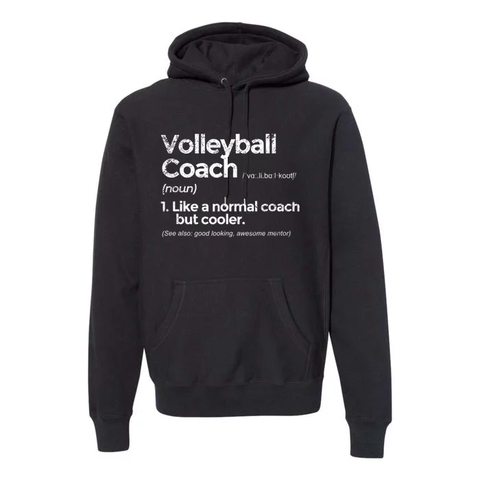 Volleyball Coach Definition Funny Gift Premium Hoodie